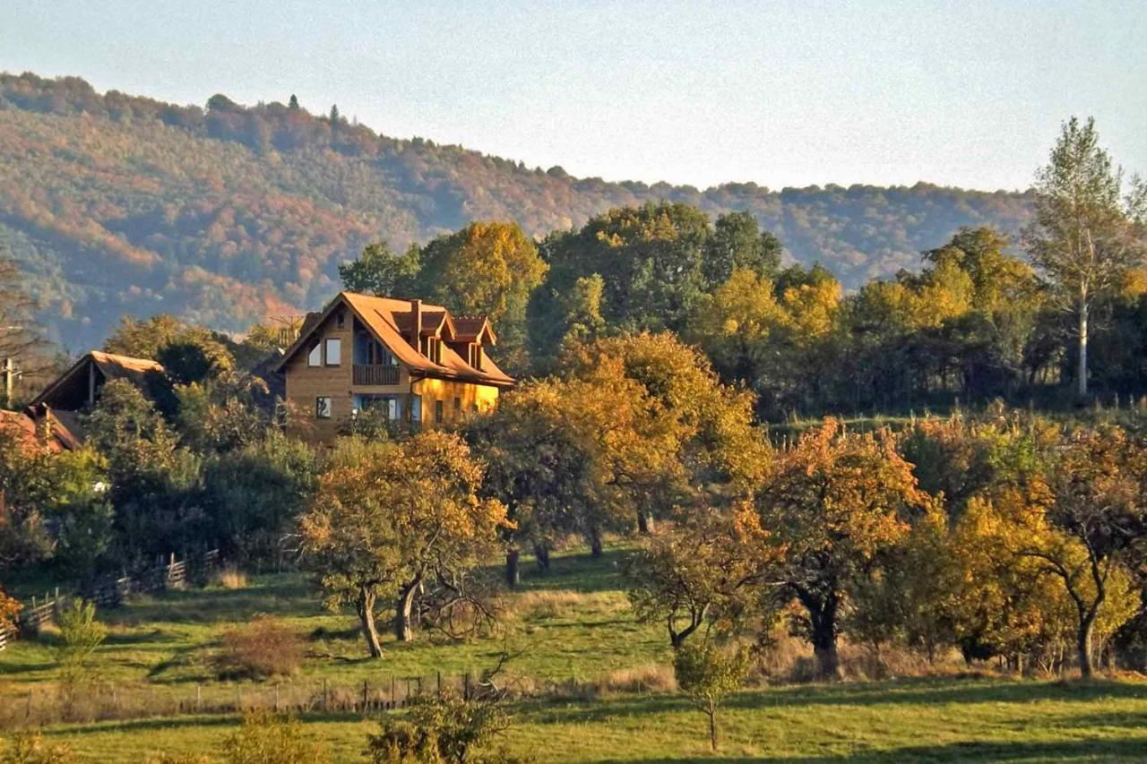 Ferienwohnung Casa Zollo Sălişte Exterior foto